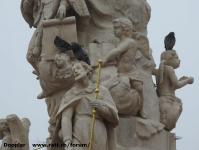 Imagine atasata: Reabilitare centru - 2015.12.26- 011.jpg